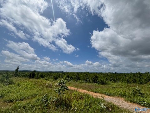 38 Acres Land in Gadsden