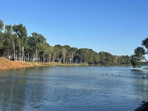 Waterfront Cove Land Lot
