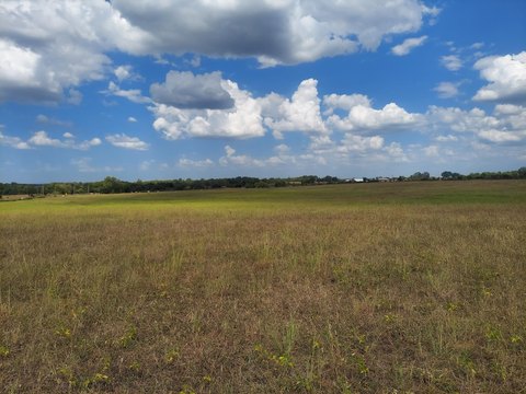 Land, Willard, MO
