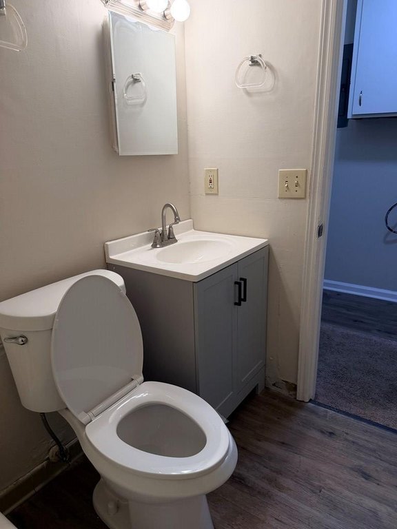 Picture 6
