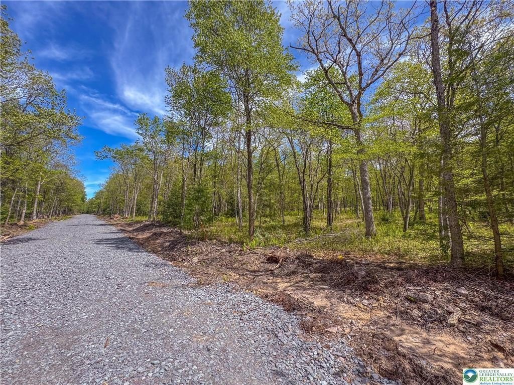 Penn Forest Streams Acreage