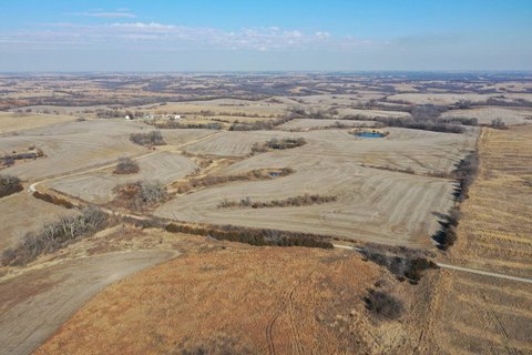 Recreational Farmland Tract with Pond