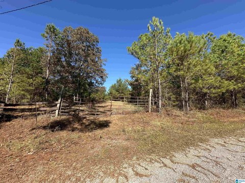 Wooded Land with Fully Fenced Area