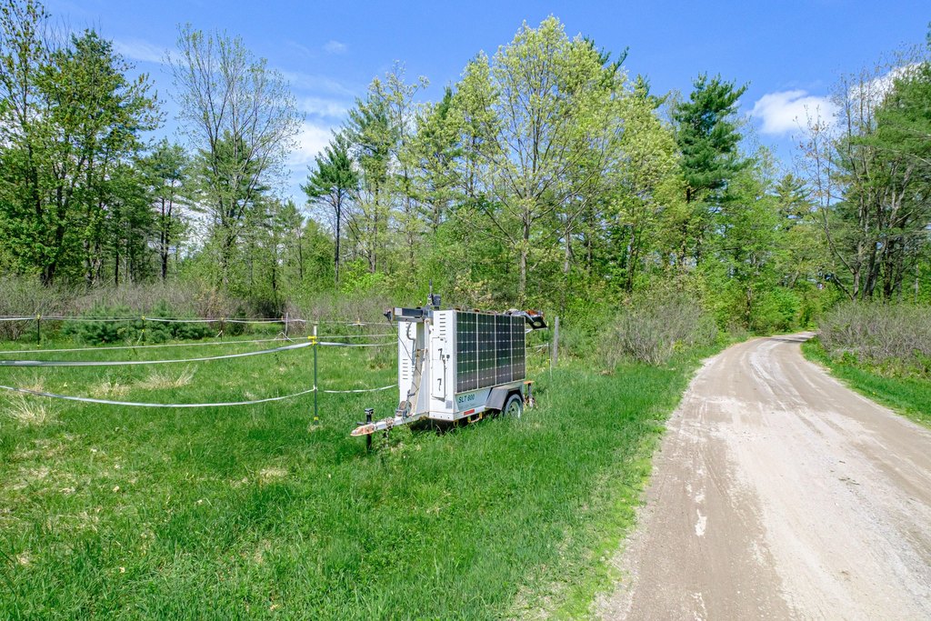 Picture 6