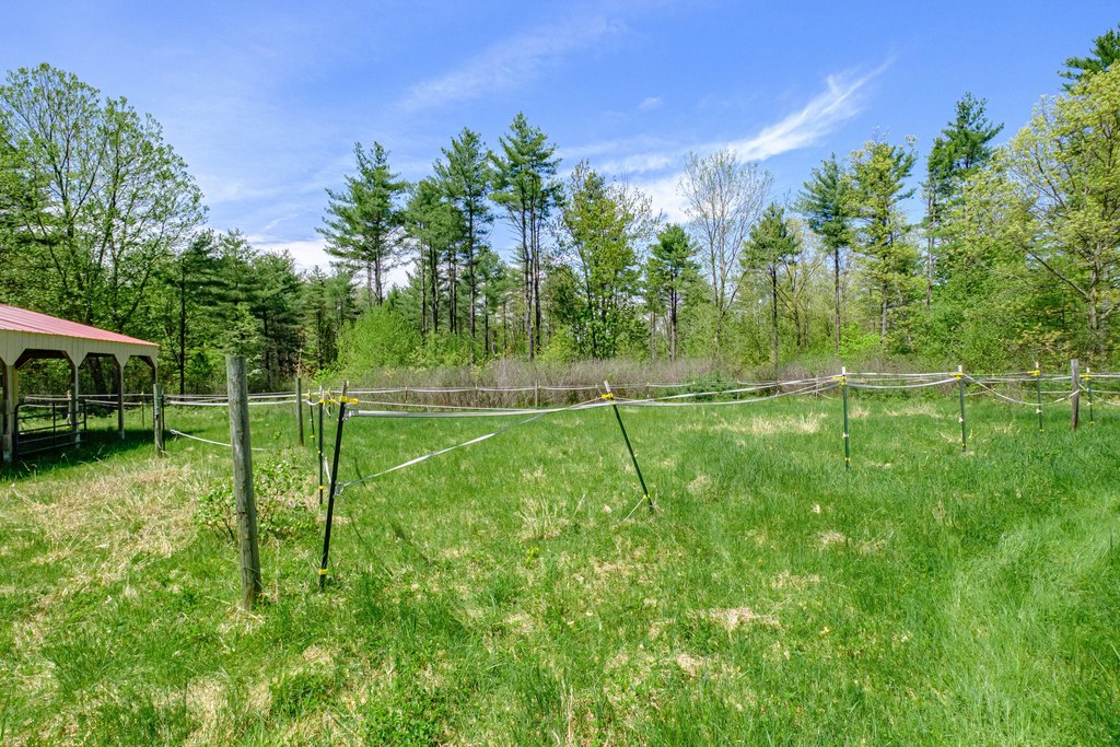 Picture 4