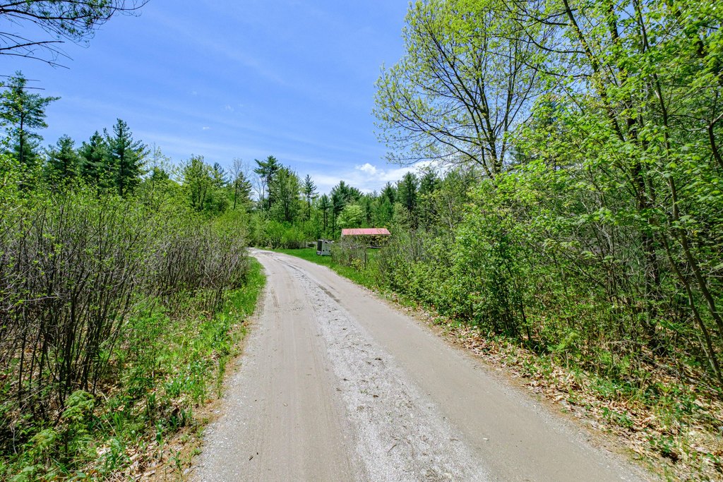 Picture 7