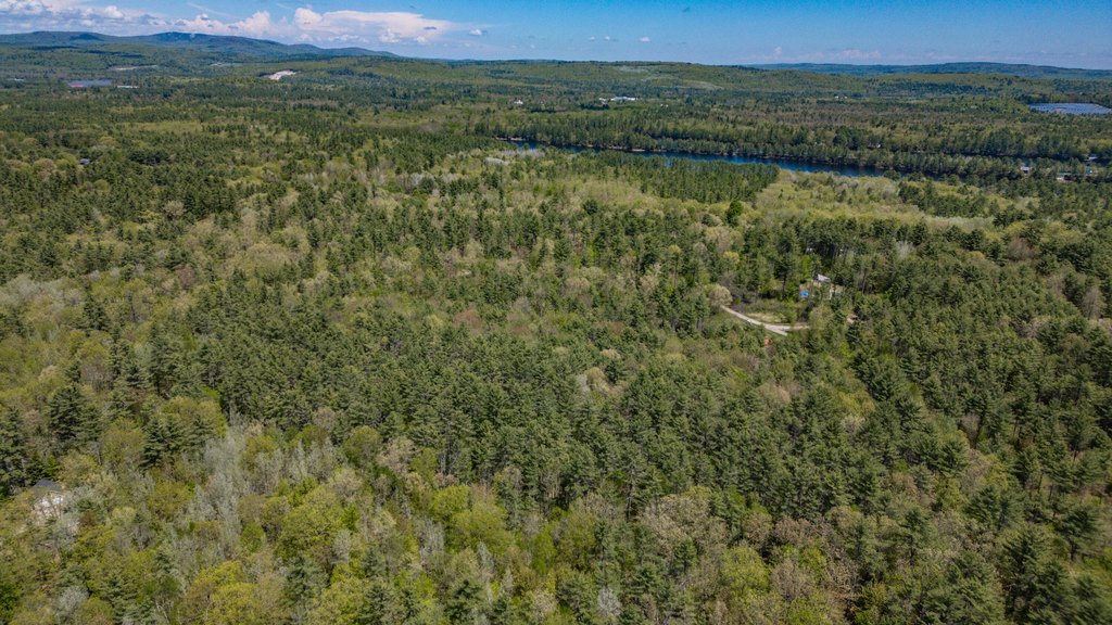 Picture 54