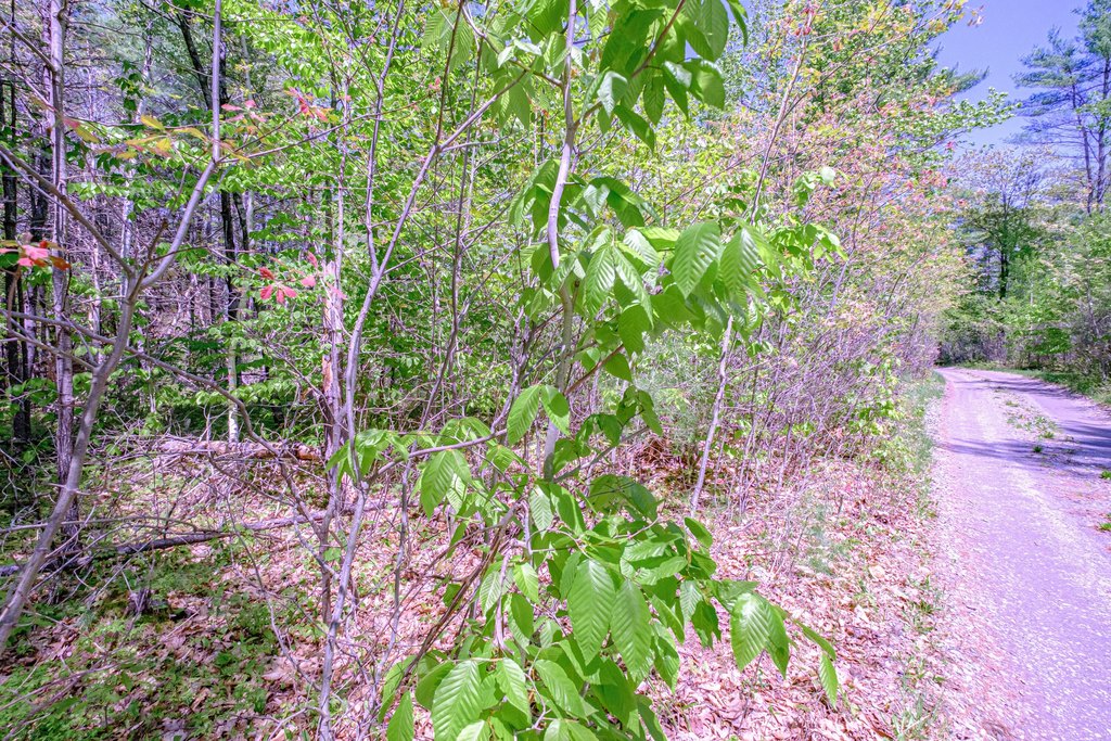 Picture 22