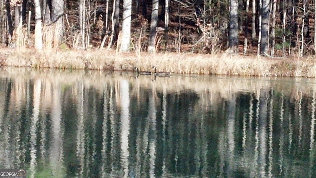 Picture 8