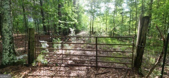 Picture 10