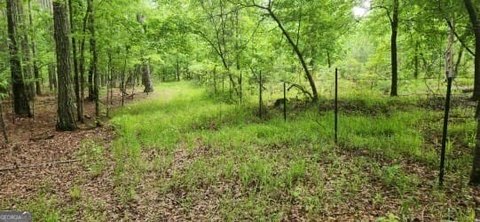 Land with Lake in Locust Grove
