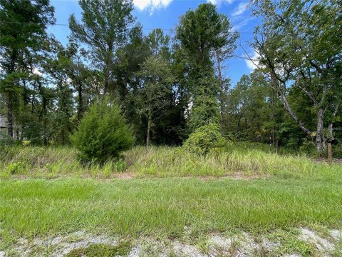 Land, WEEKI WACHEE, FL