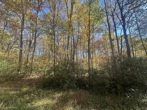 LAND - Terra Alta, WV