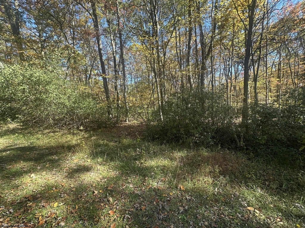Picture 5