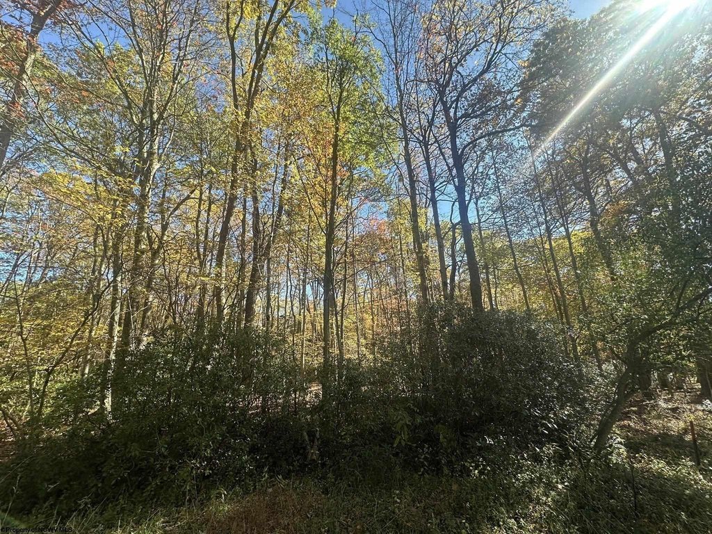 Picture 7