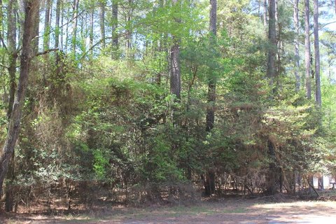 Residential Lot in Captains Cove