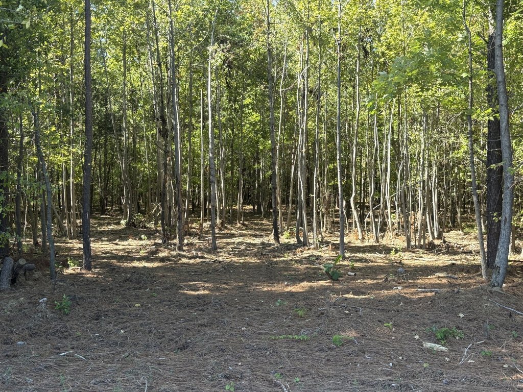 Picture 7