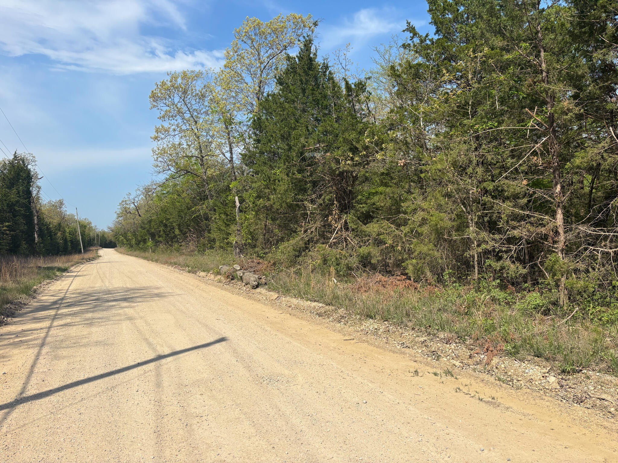 Wooded Land Near Bull Shoals