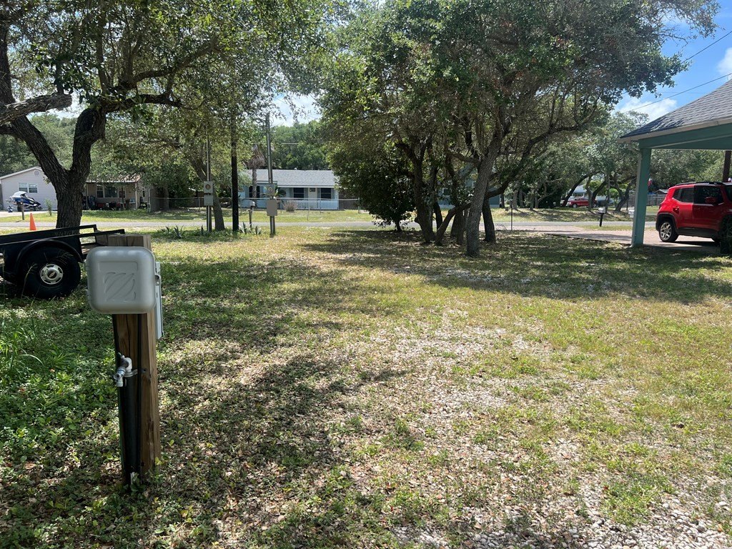 Picture 6