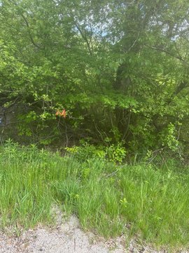 LAND - Steuben, ME