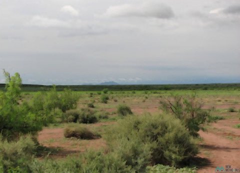 Land, Deming, NM