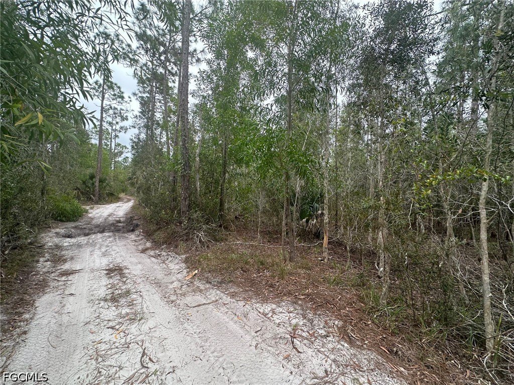 Picture 3