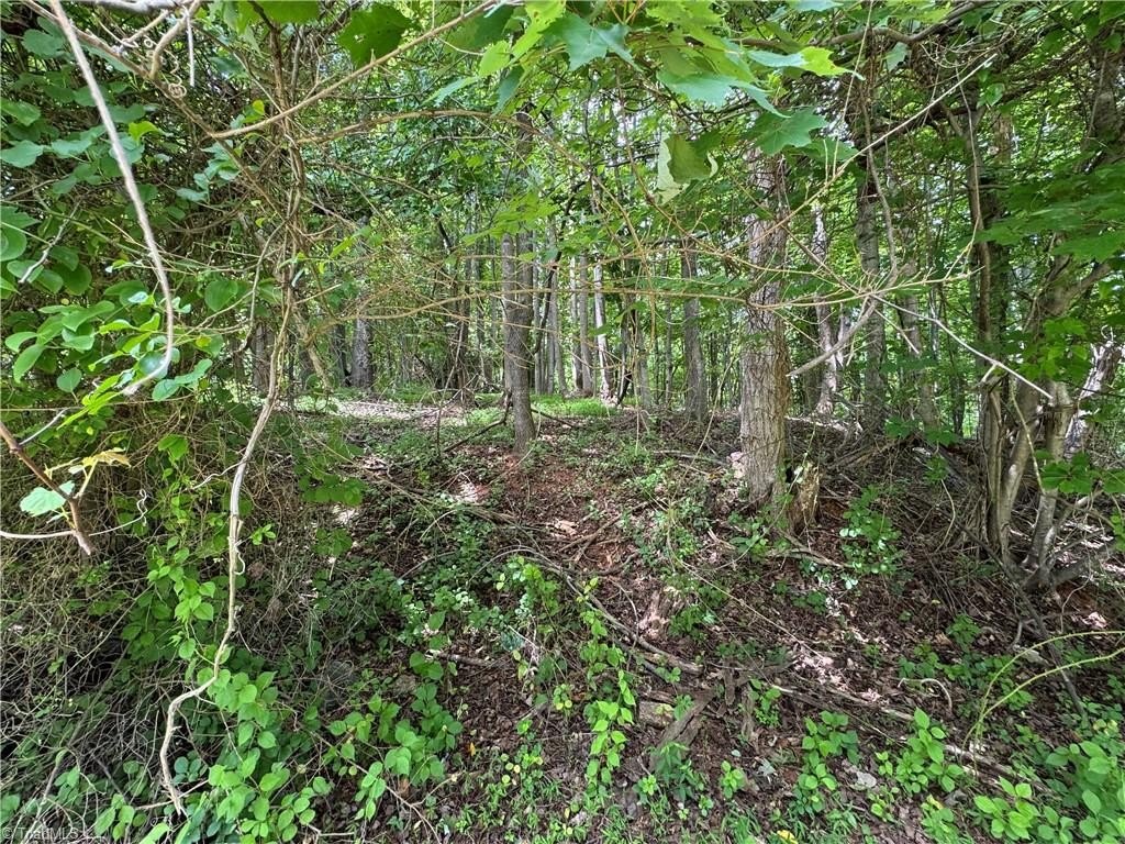 Picture 7