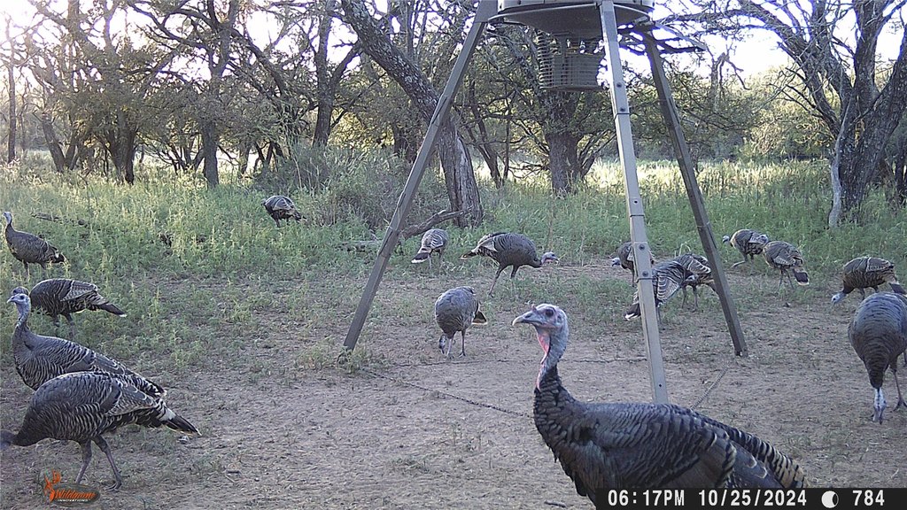 Picture 30