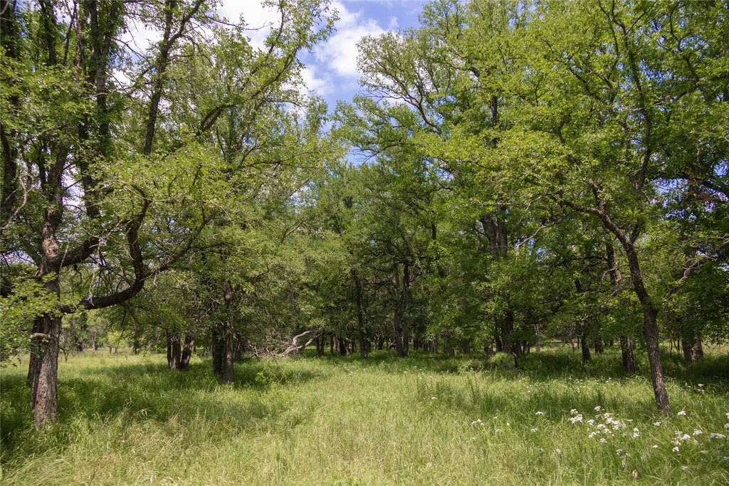 Picture 24