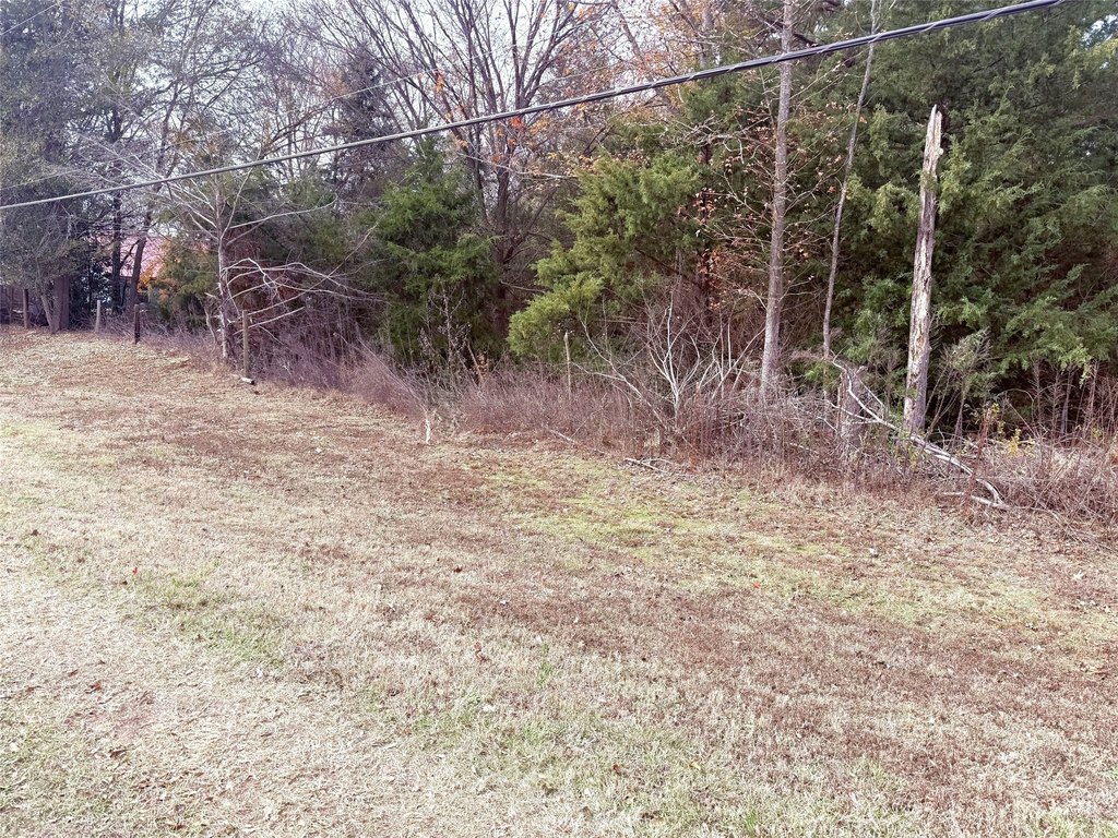 Picture 3