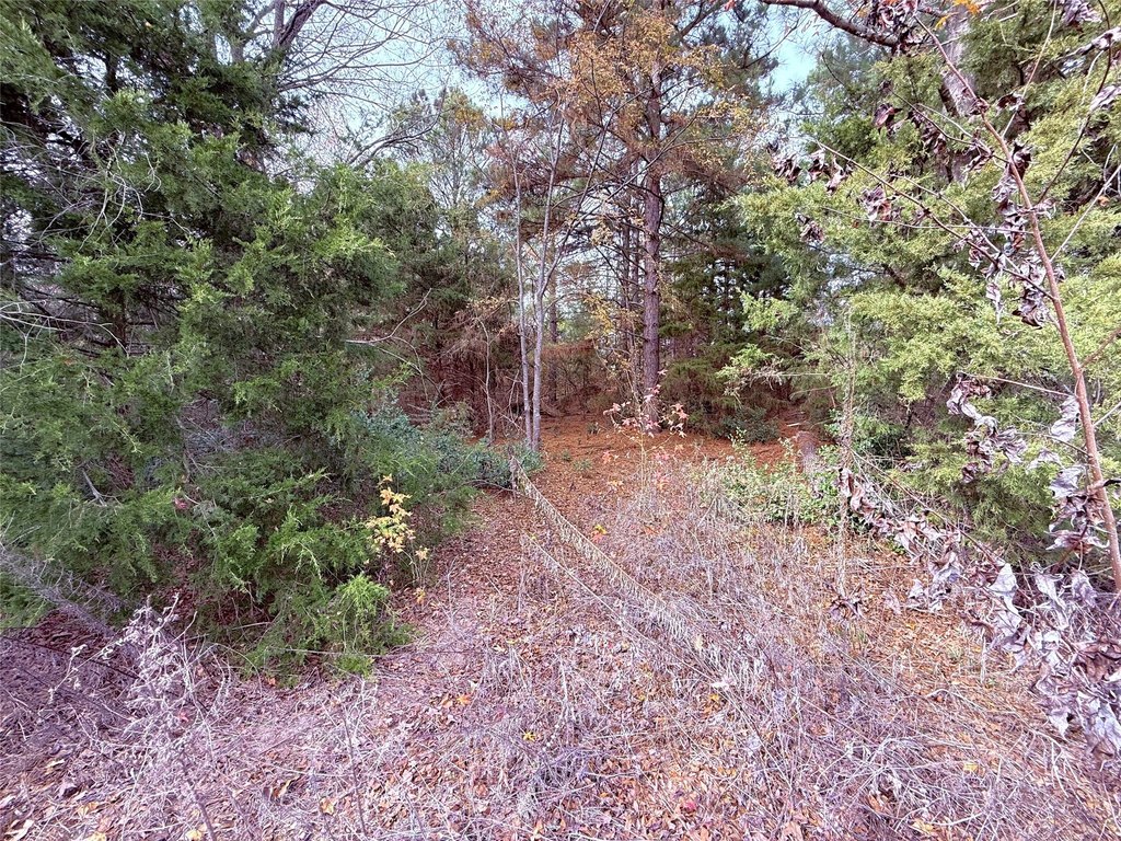 Picture 4