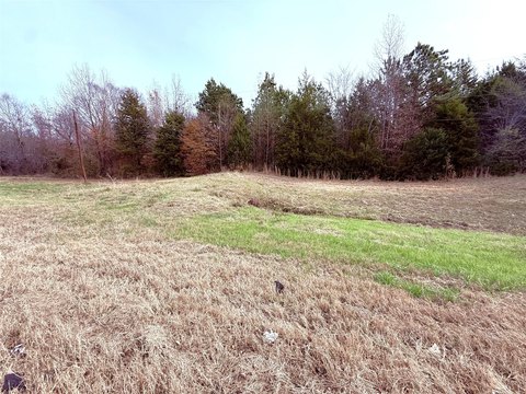 Unimproved Land Near Winnsboro, TX