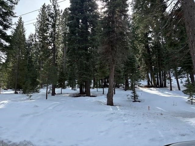 Picture 19