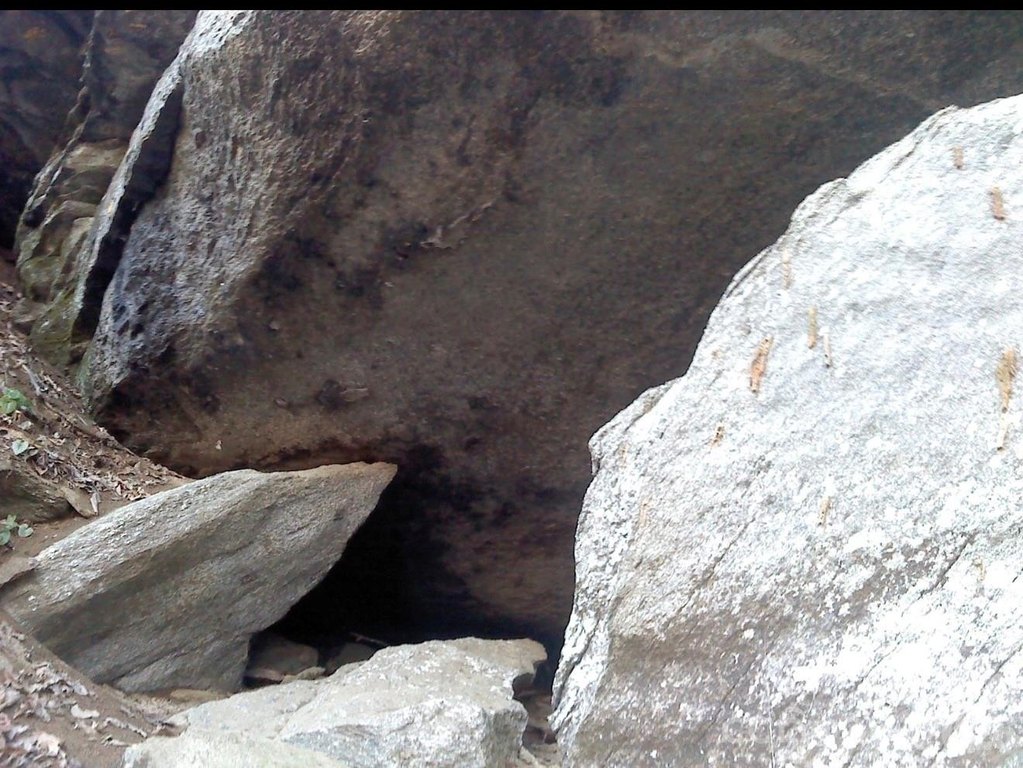 Picture 46