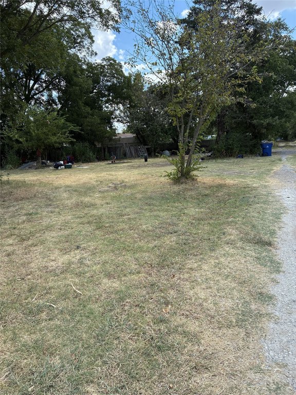 Picture 6