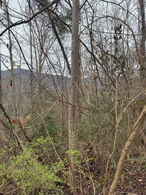 Cosby, TN Land with Views