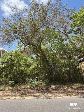 Waterfront-Adjacent Land Lot