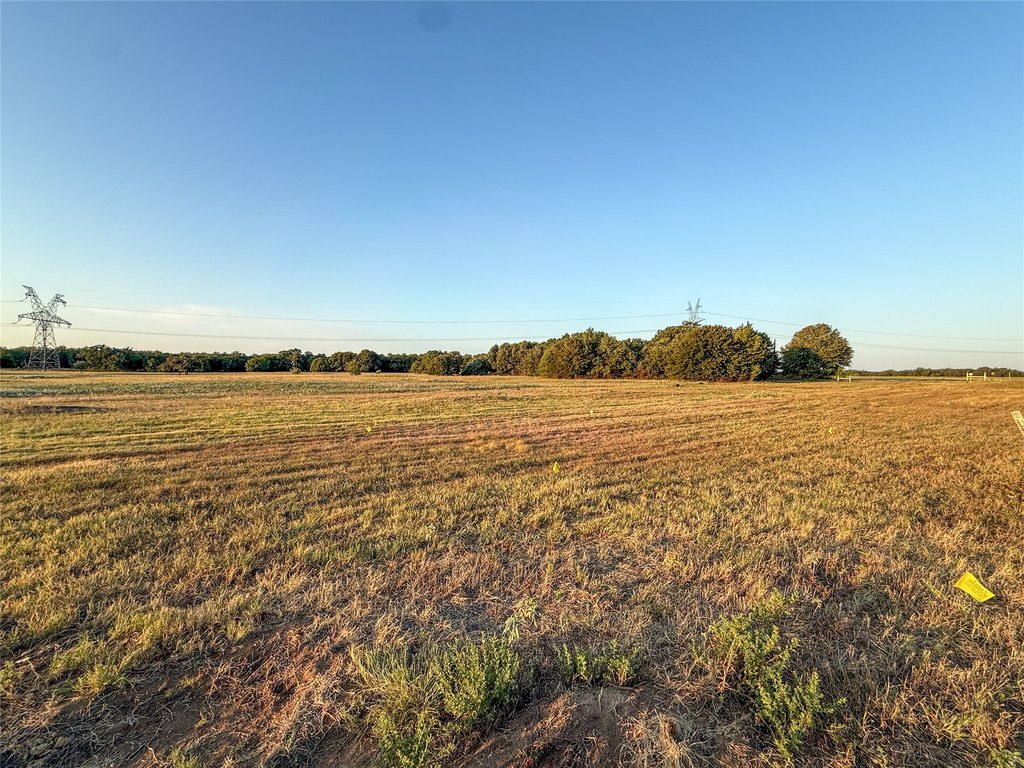 Picture 17