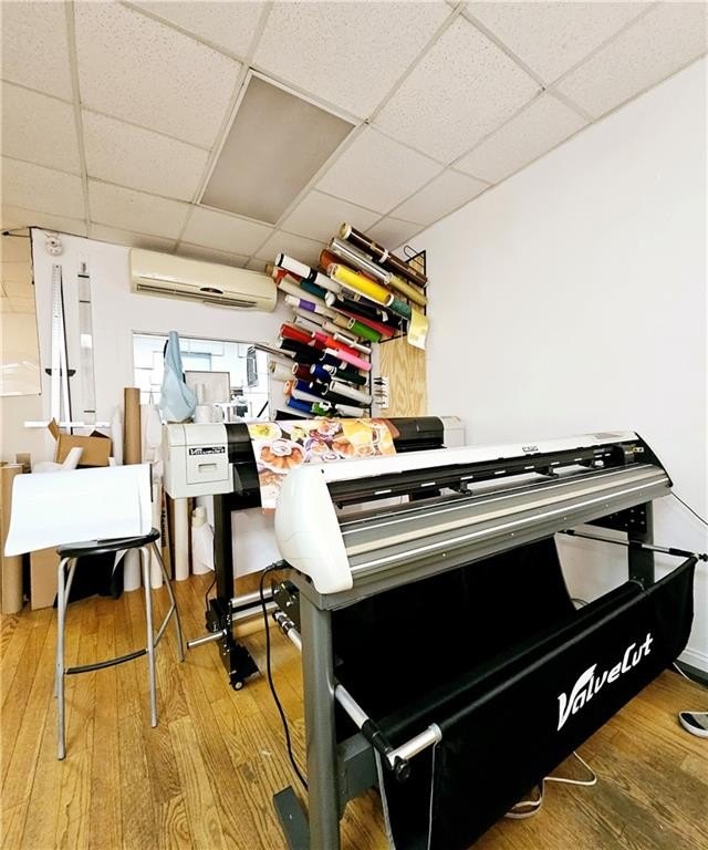 Picture 11