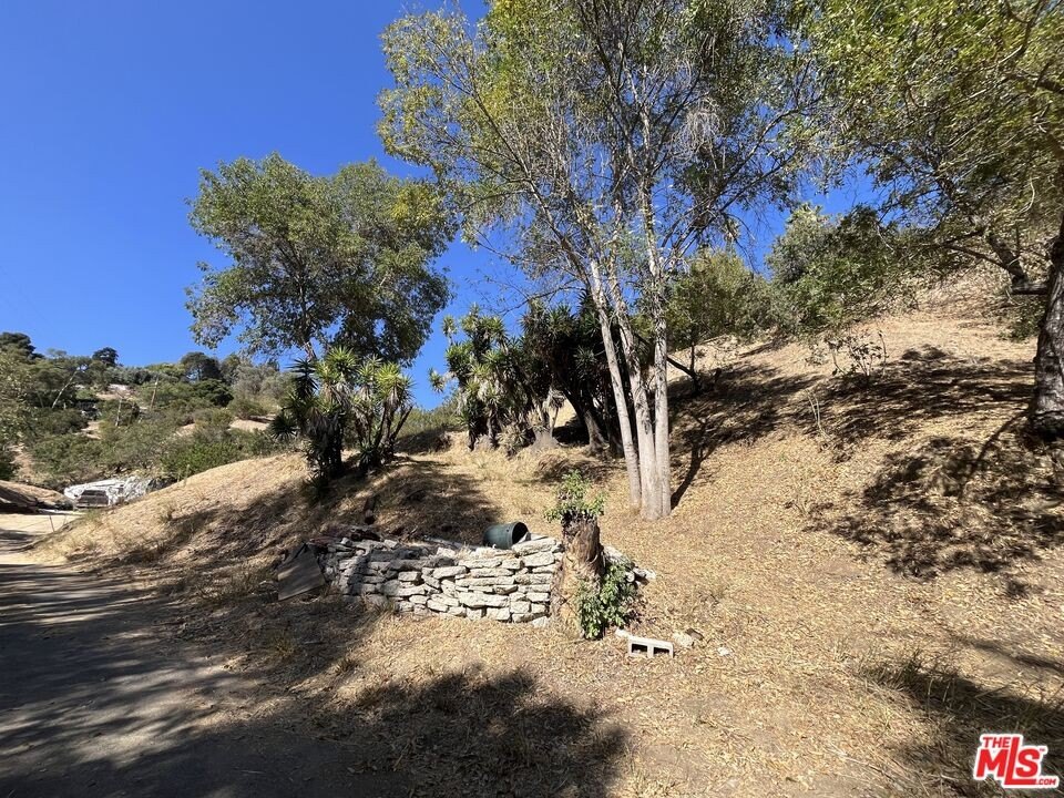 Picture 14