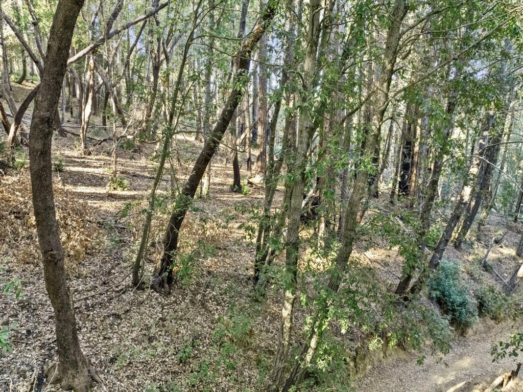 Picture 23