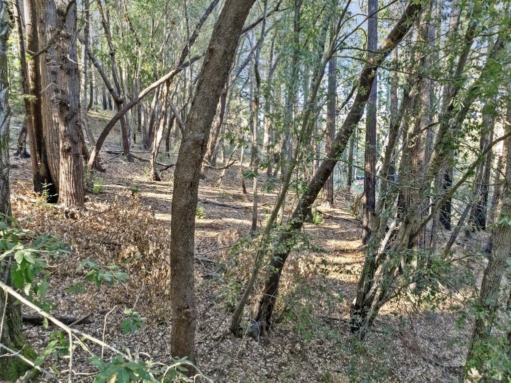 Picture 22