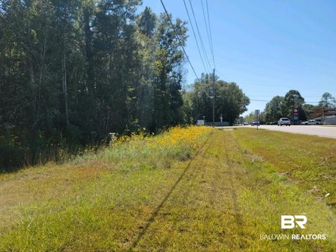 Wooded Homesite with Road Frontage