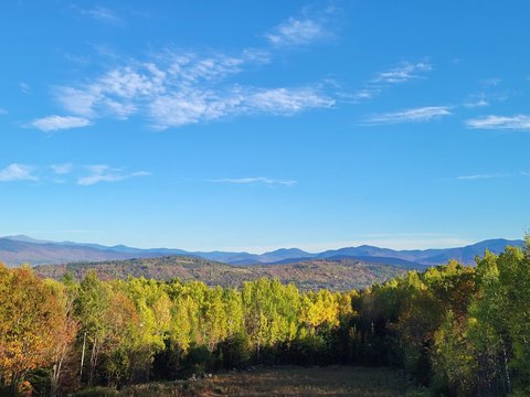 Wooded Mountain-View Home Lot