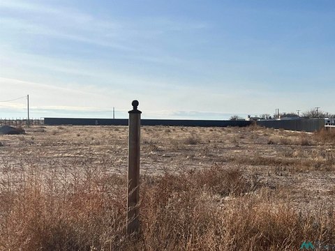 LAND - Artesia, NM