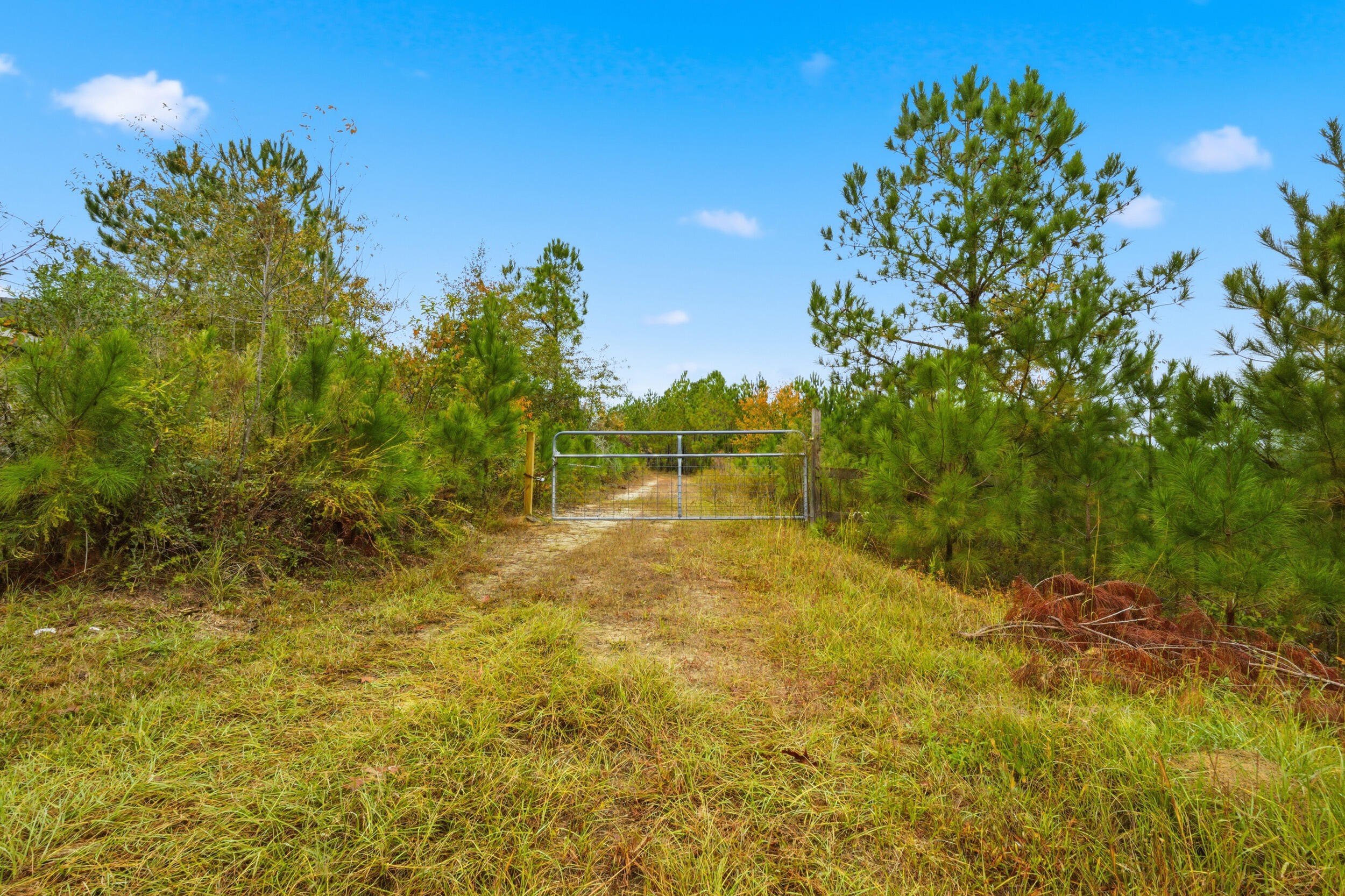 Aiken Land with Stocked Pond