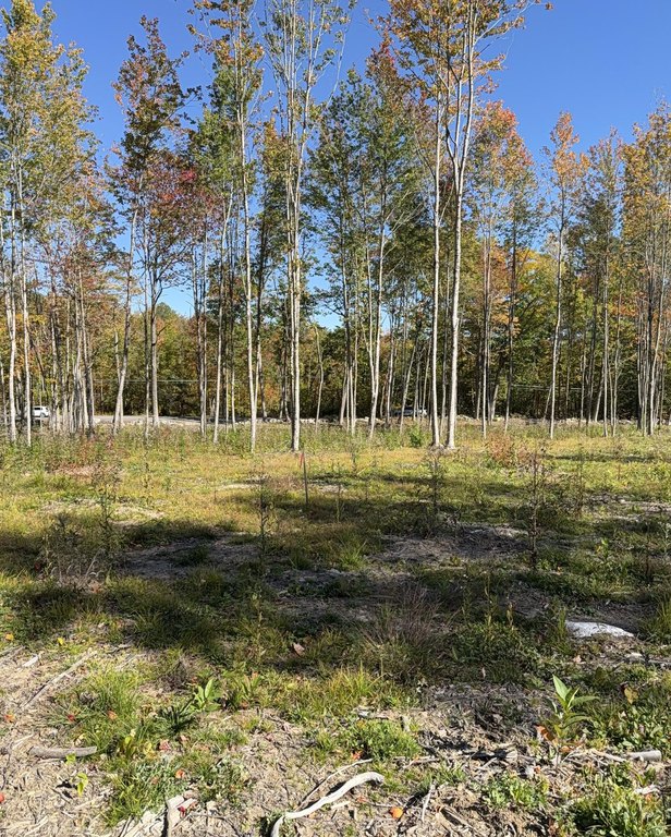 Picture 6