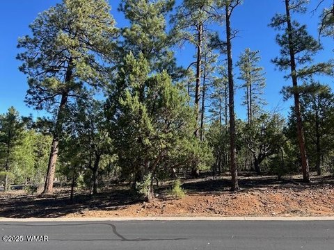 Residential Lot in Gated Community