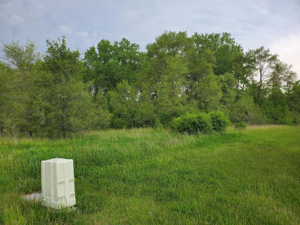 Picture 3