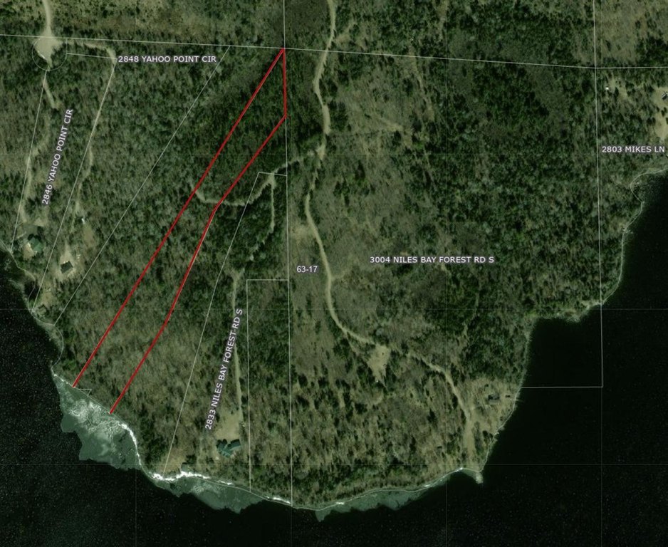 Picture 10